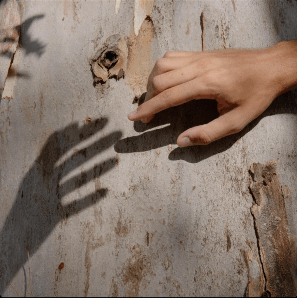 LEITZ – Love in the summer